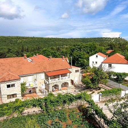 Nice Apartment In Dubrovnik With Kitchen Dış mekan fotoğraf